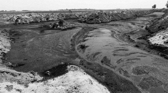 污泥焚烧或成大势所趋 独立焚烧or掺烧 谁能c位出道？