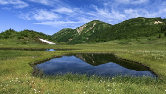 刺激家电市场消费 不能只靠政策还得靠厂商联动