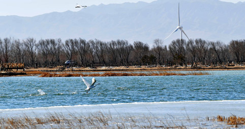 北京市印发实施深入打好污染防治攻坚战2021年行动计划