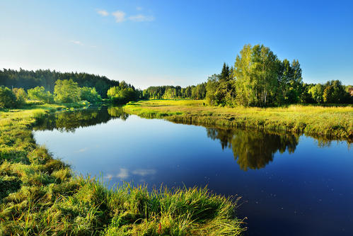 2021年中国污水处理行业市场现状及发展趋势预测分析