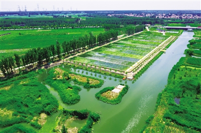 开展河流生态廊道建设 推动水环境治理技术创新 ——京津冀区域水污染控制与治理综合调控取得示范性成果